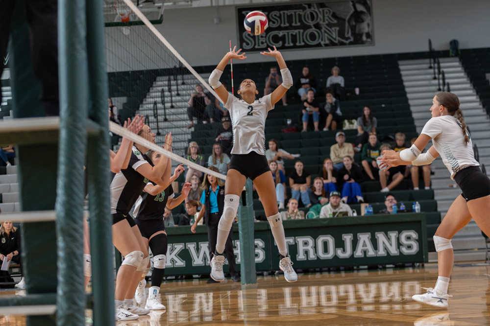 %_tempFileName1V7A0229%