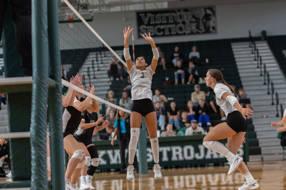 %_tempFileName1V7A0230%