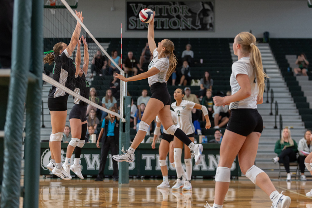 %_tempFileName1V7A0238%