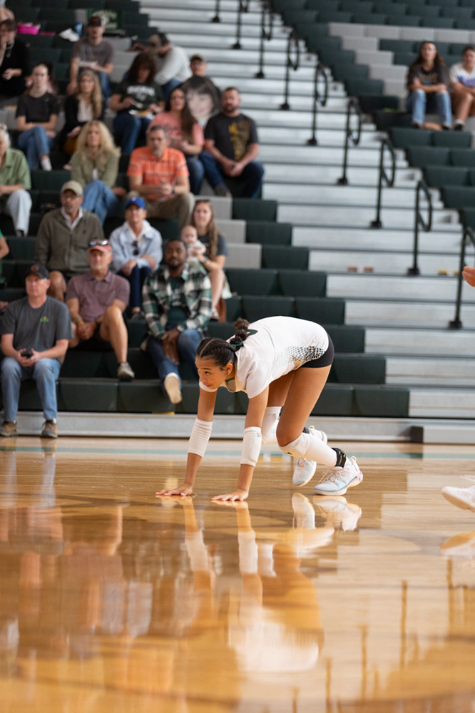 %_tempFileName1V7A0290%