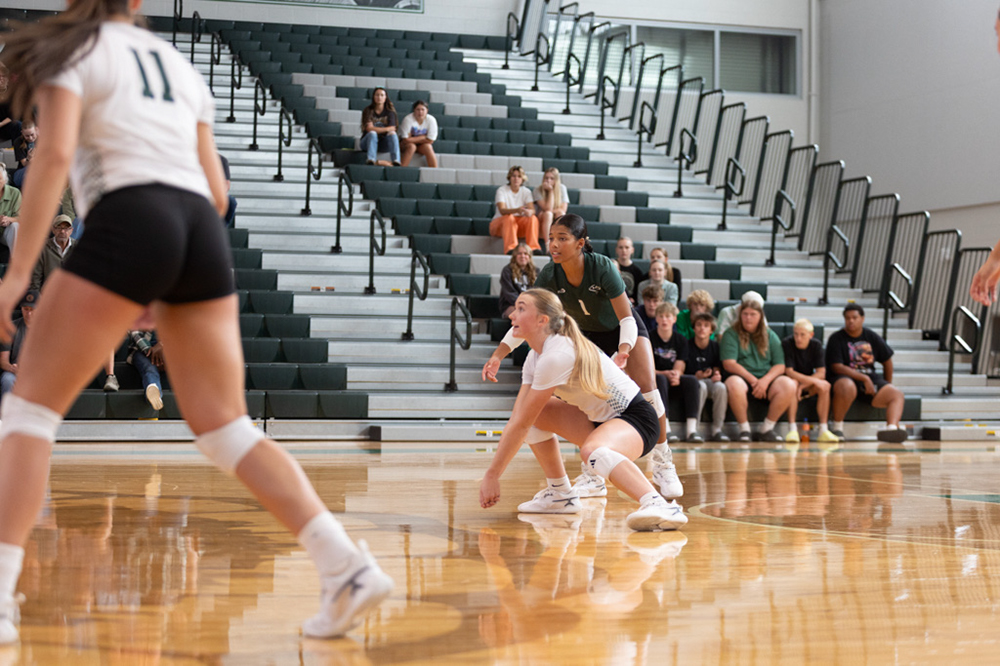 %_tempFileName1V7A0292%