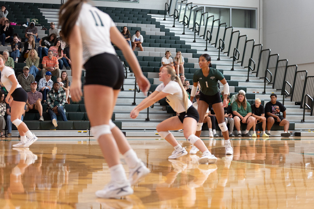 %_tempFileName1V7A0294%