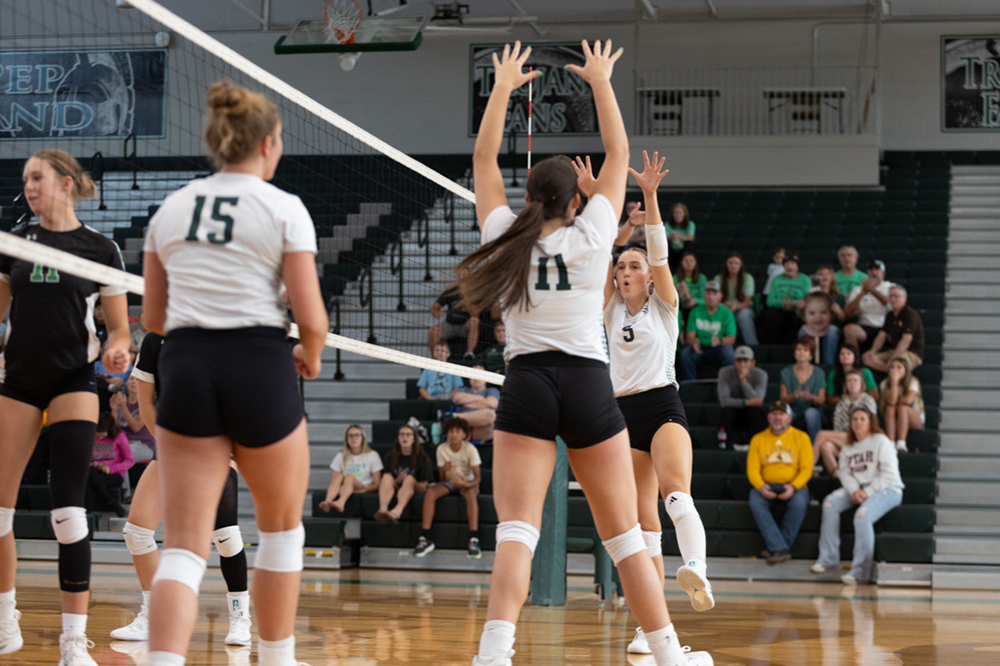 %_tempFileName1V7A0295%