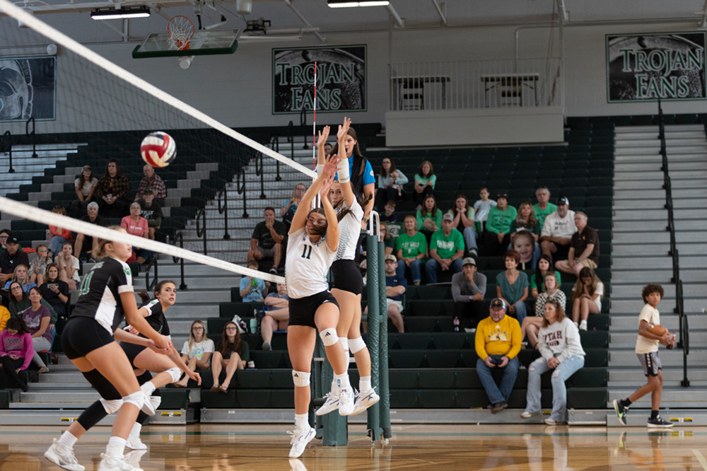 %_tempFileName1V7A0319%