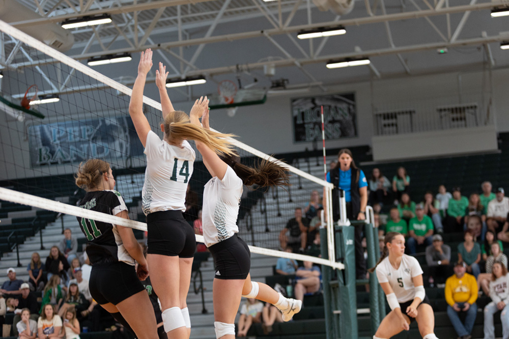 %_tempFileName1V7A0323%