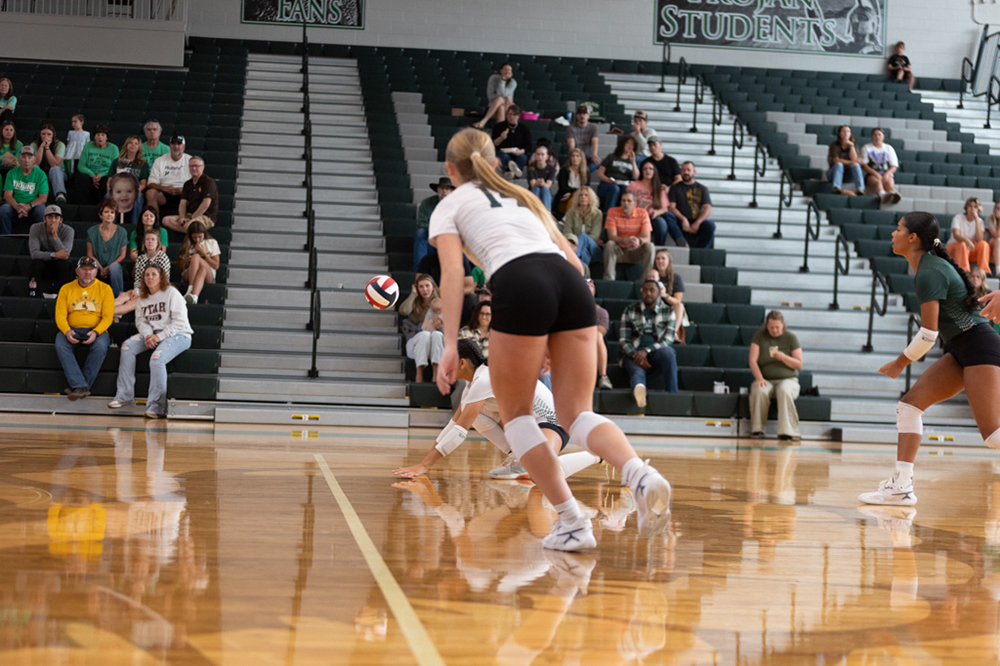 %_tempFileName1V7A0324%