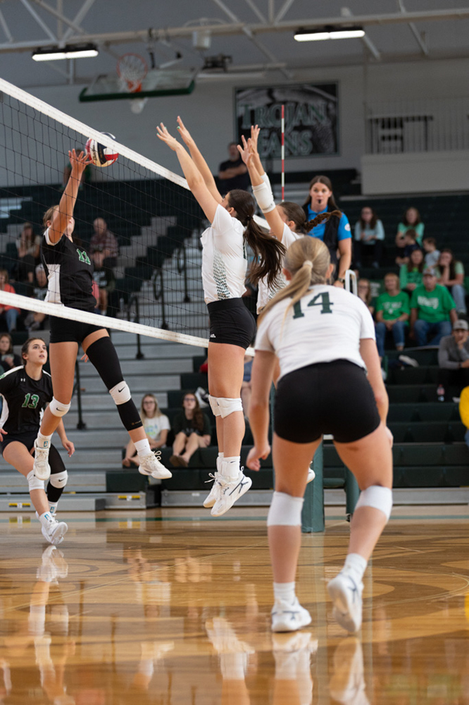 %_tempFileName1V7A0419%