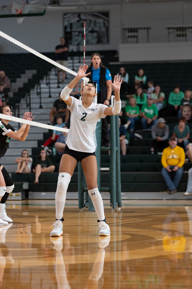 %_tempFileName1V7A0436%