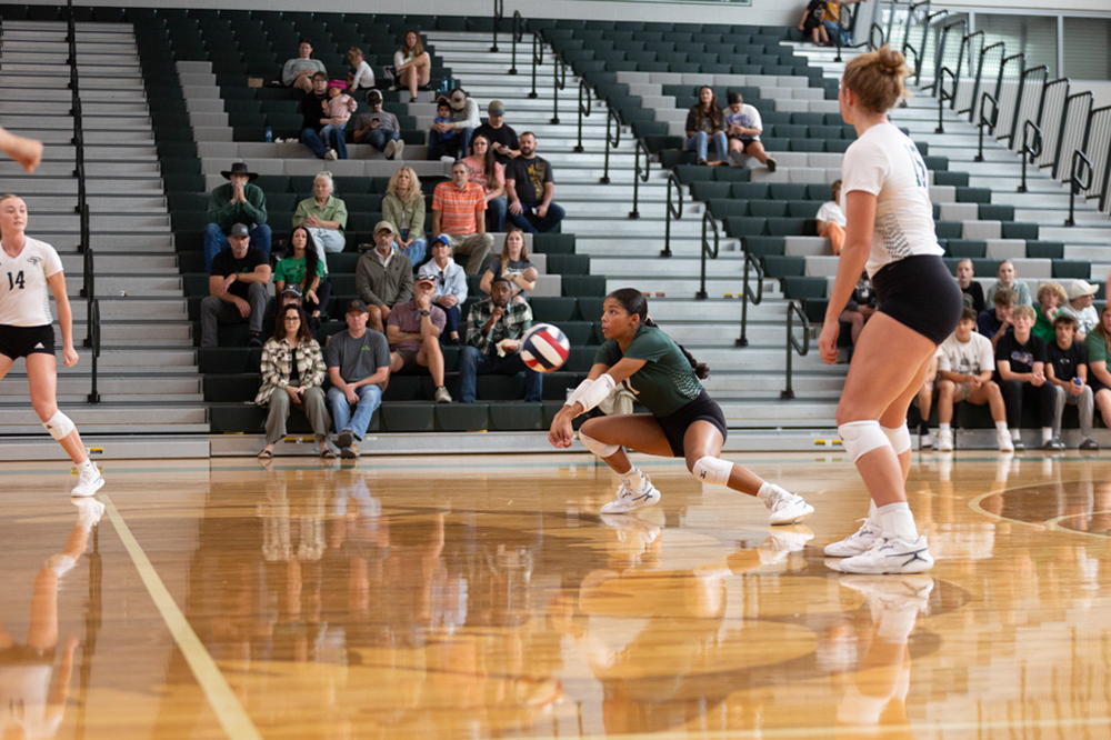 %_tempFileName1V7A0455%