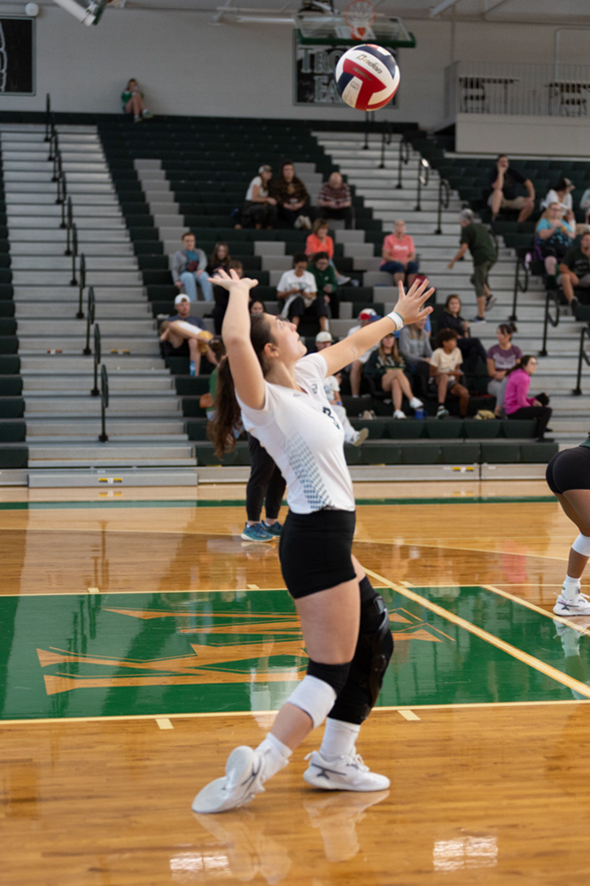 %_tempFileName1V7A0493%