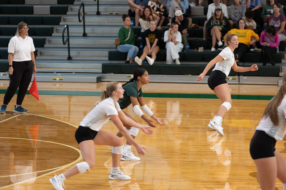 %_tempFileName1V7A0499%