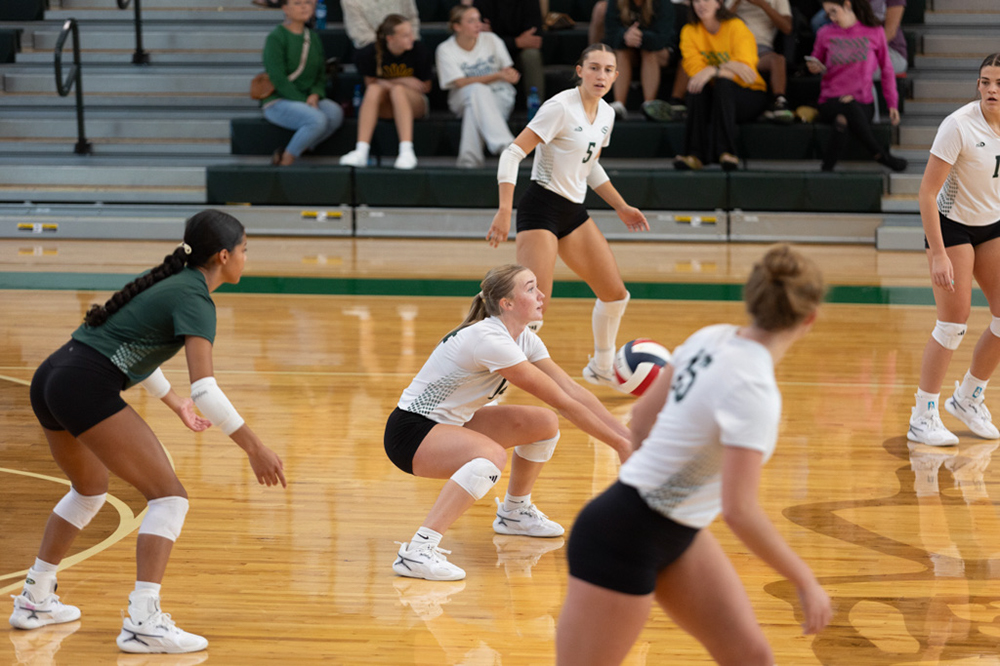 %_tempFileName1V7A0533%