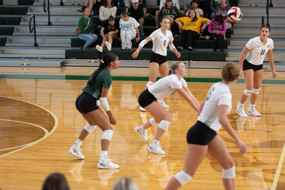 %_tempFileName1V7A0550%