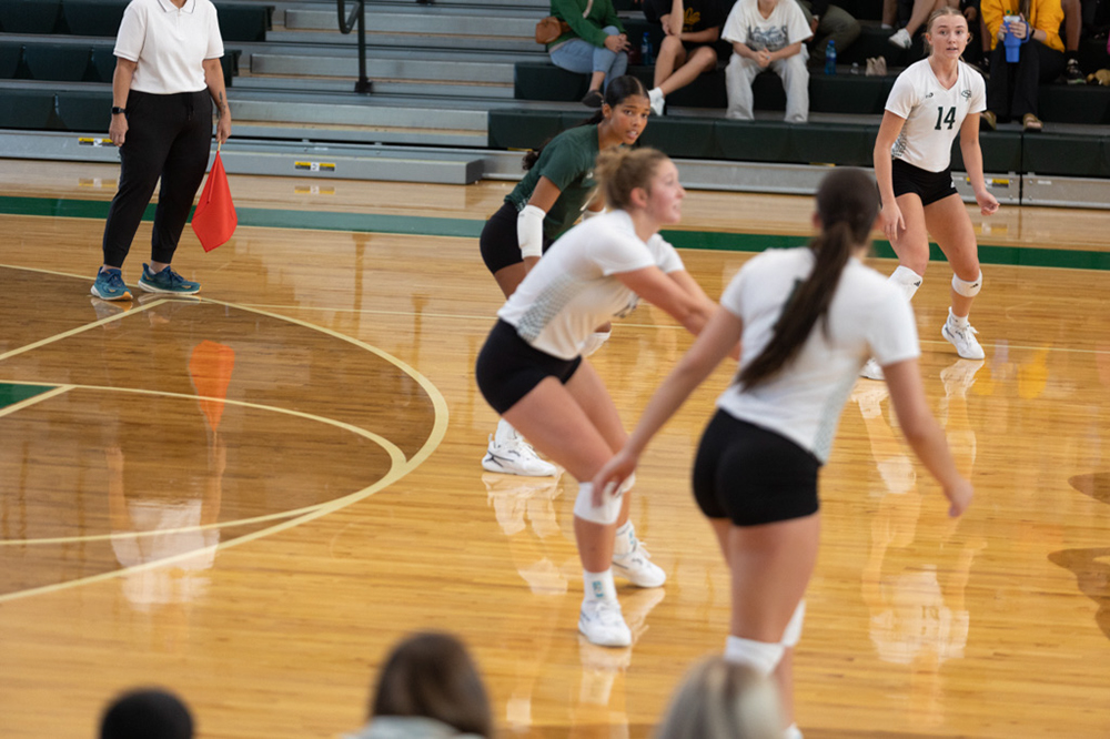 %_tempFileName1V7A0554%