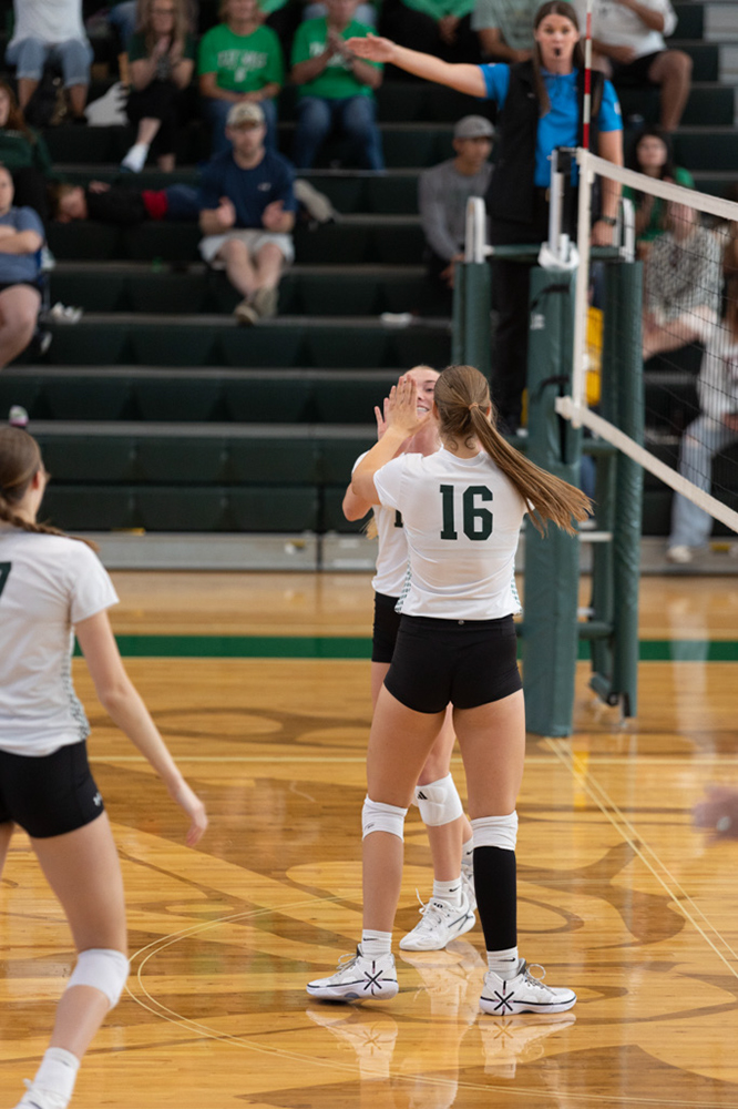 %_tempFileName1V7A0591%