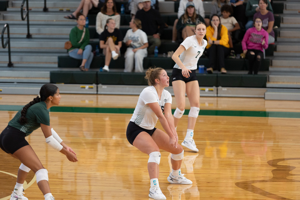 %_tempFileName1V7A0599%