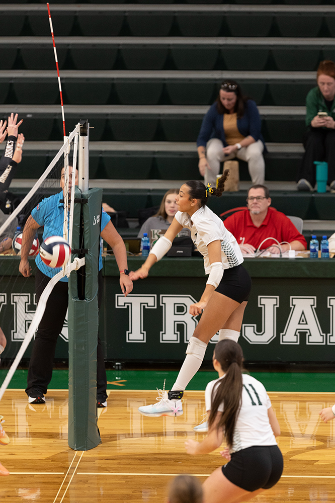 %_tempFileName1M6A0022%