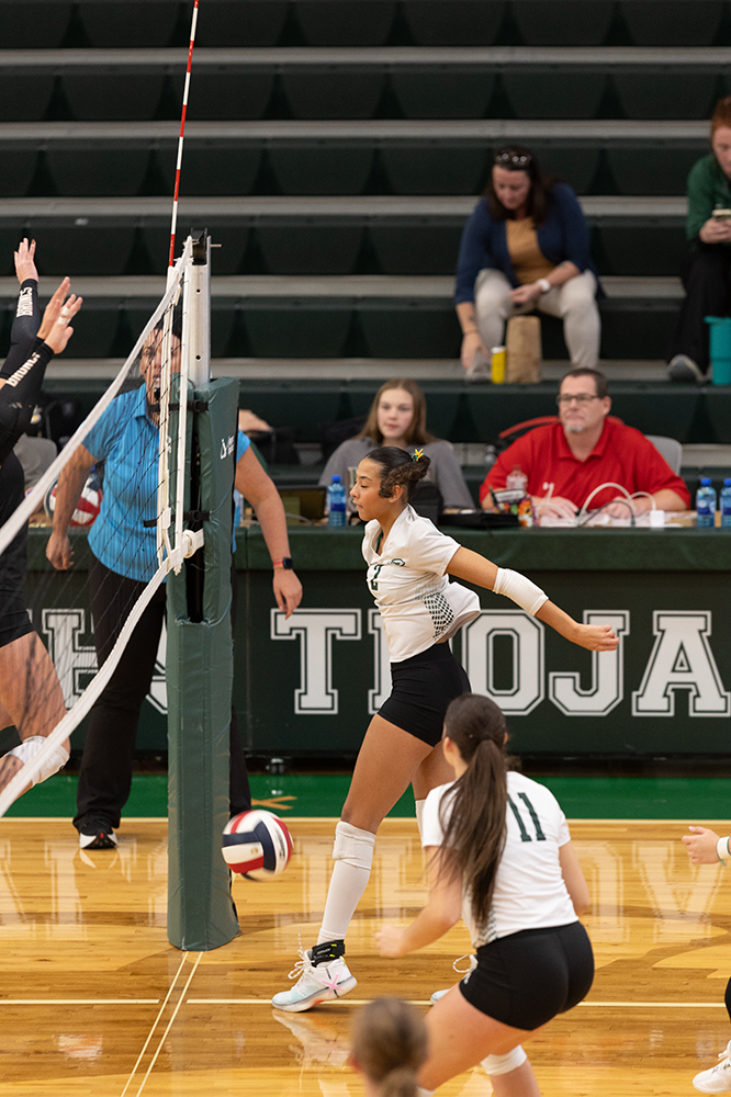 %_tempFileName1M6A0024%