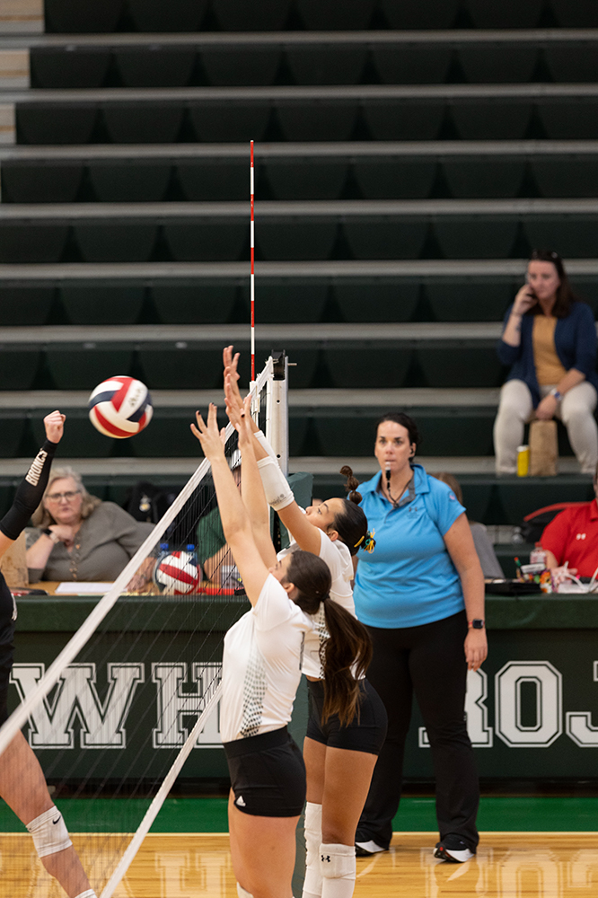 %_tempFileName1M6A0037%