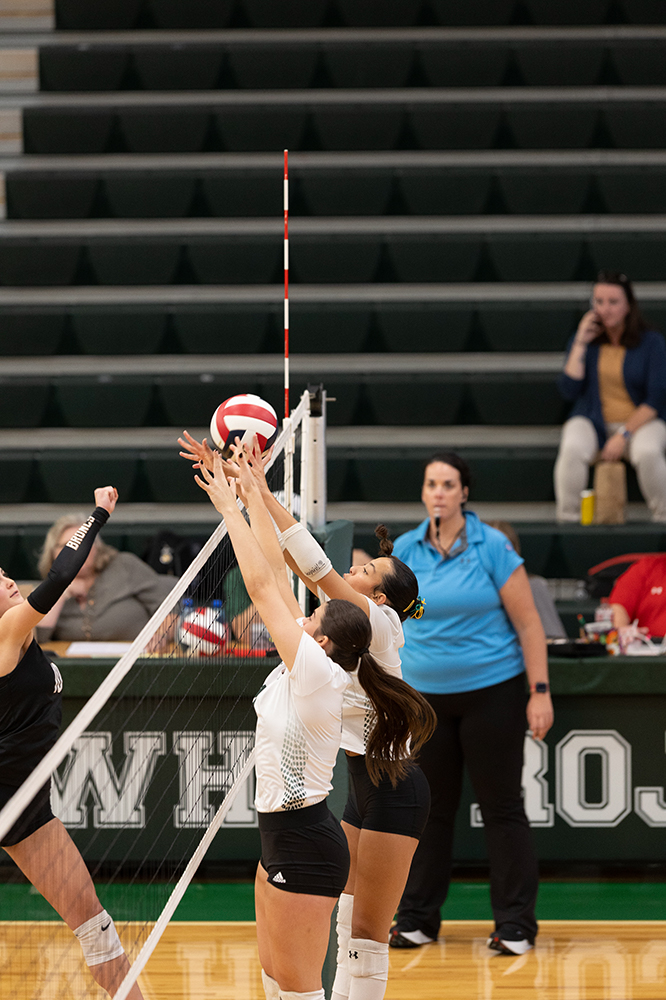 %_tempFileName1M6A0038%