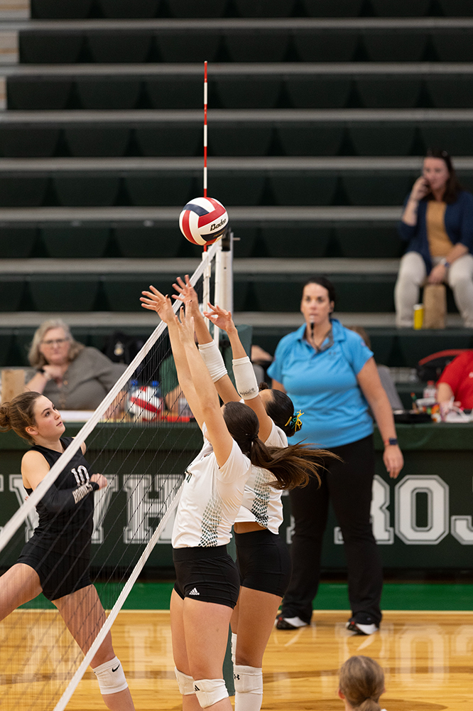 %_tempFileName1M6A0040%