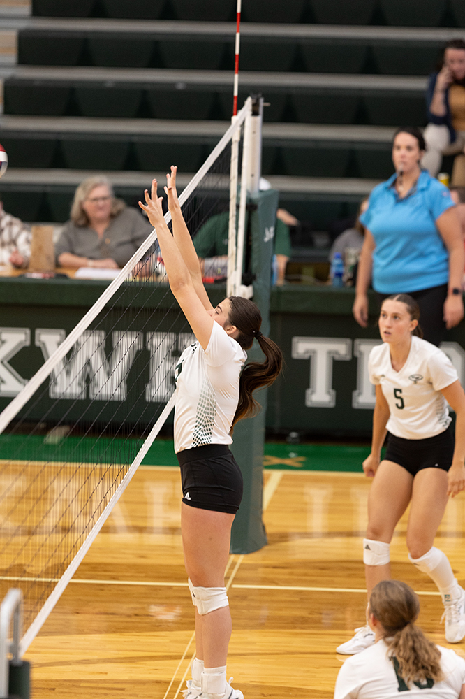 %_tempFileName1M6A0059%