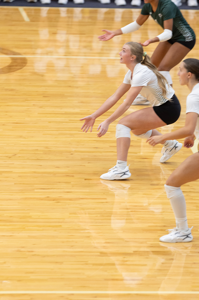 %_tempFileName1M6A0081%