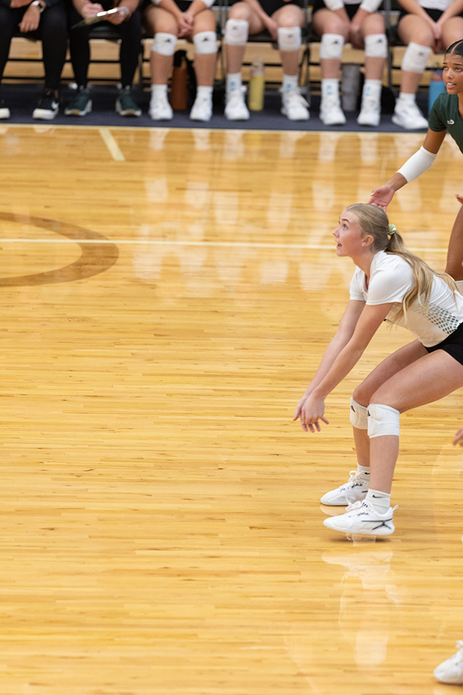 %_tempFileName1M6A0084%