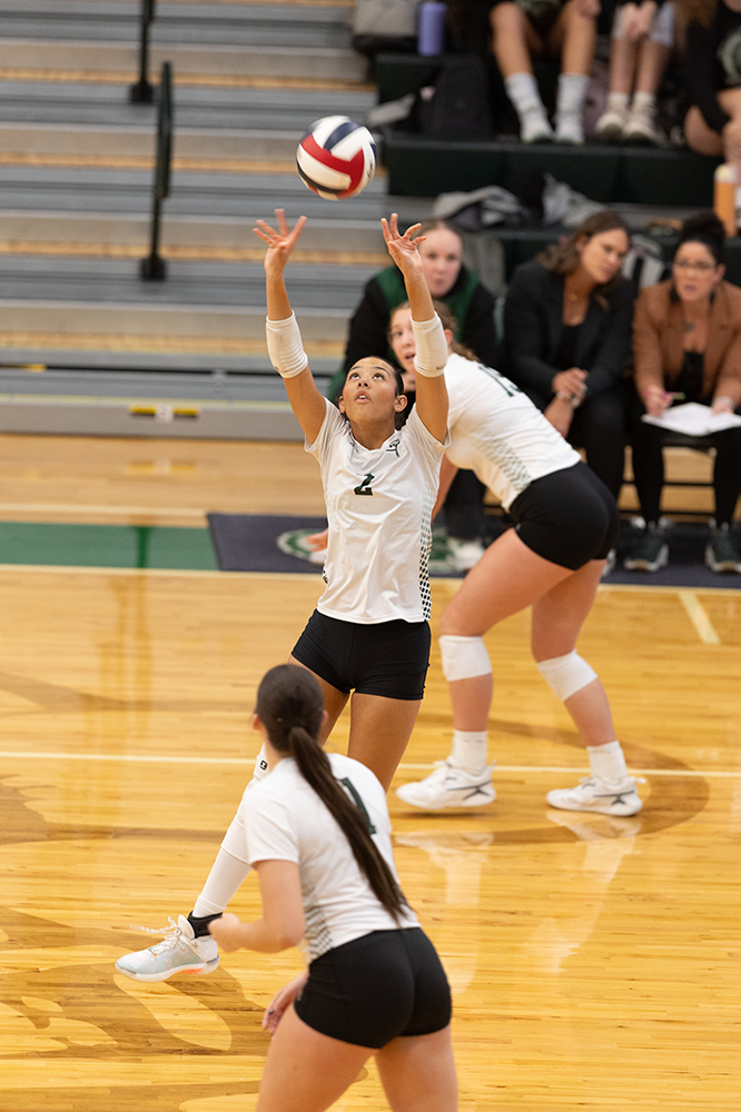 %_tempFileName1M6A0088%