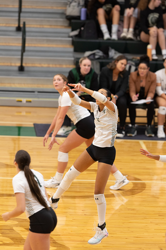 %_tempFileName1M6A0091%