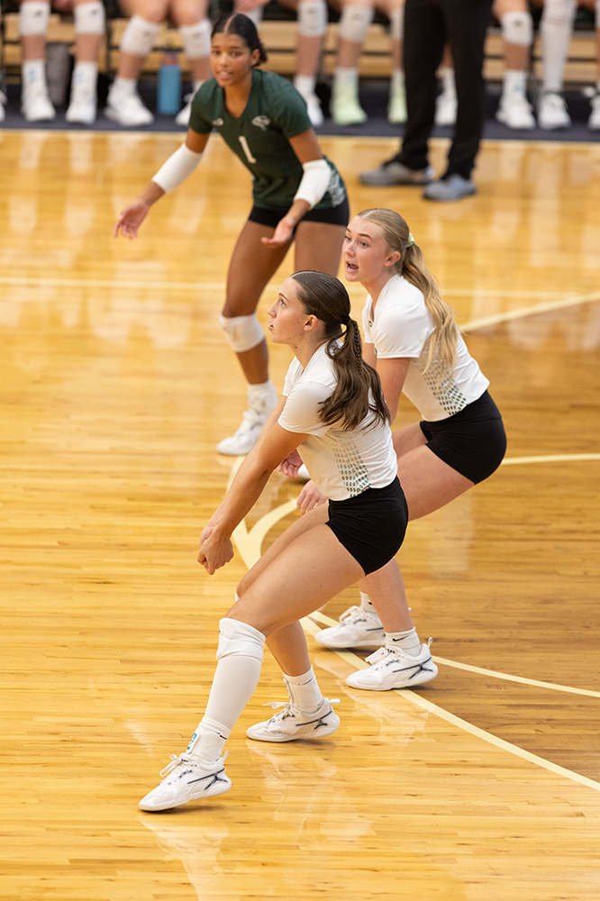 %_tempFileName1M6A0092%