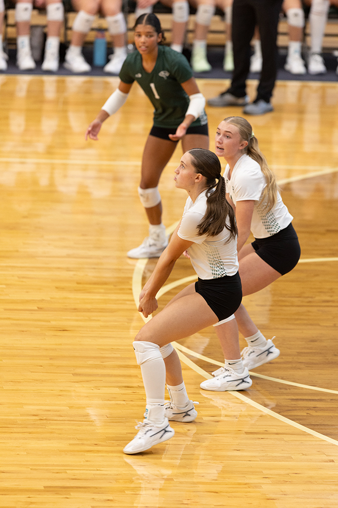 %_tempFileName1M6A0093%