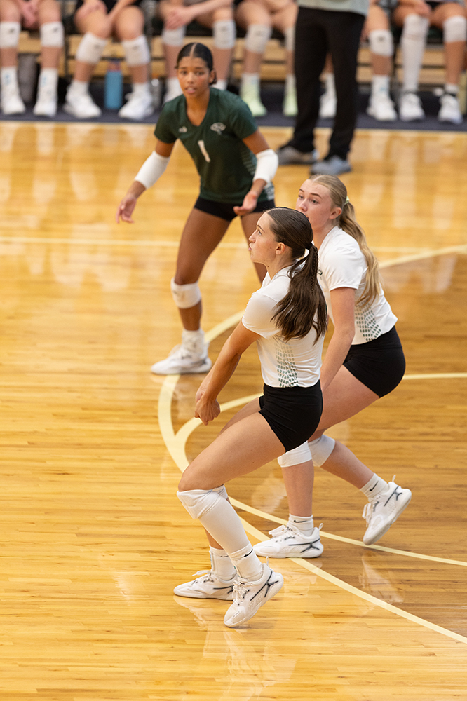 %_tempFileName1M6A0094%