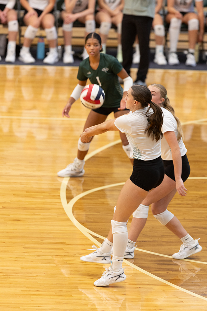 %_tempFileName1M6A0096%