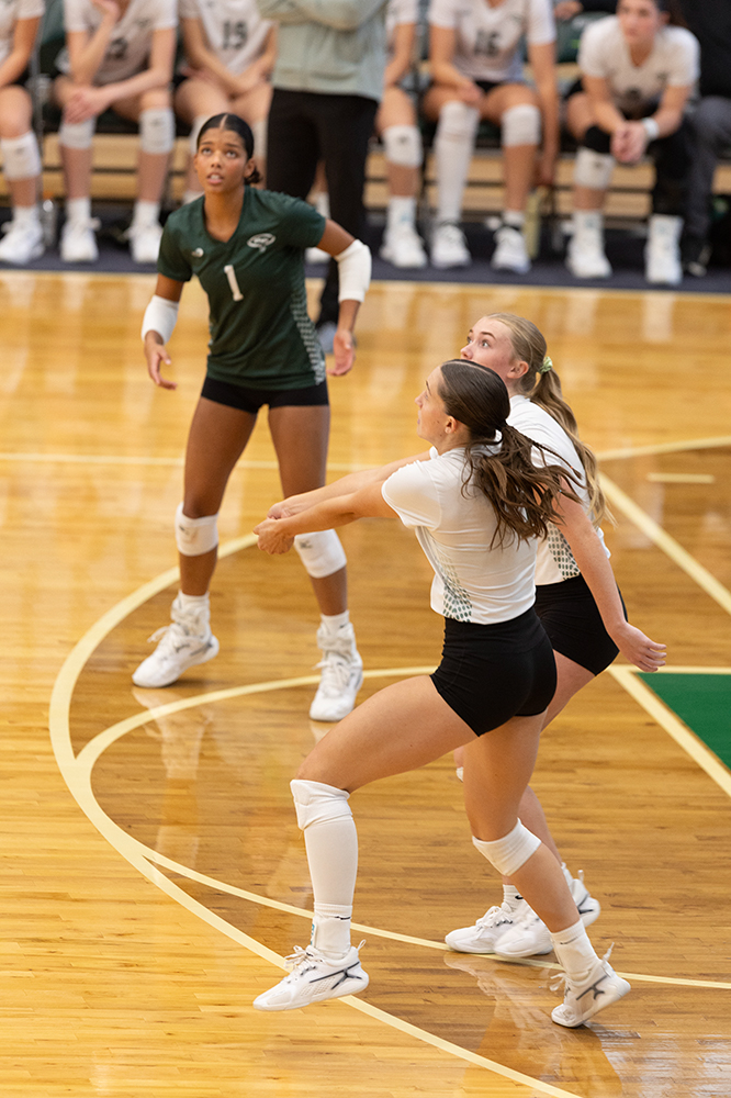 %_tempFileName1M6A0099%