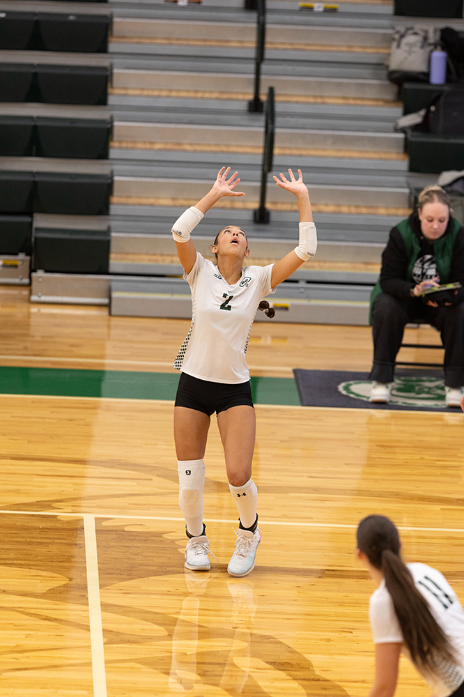 %_tempFileName1M6A0101%