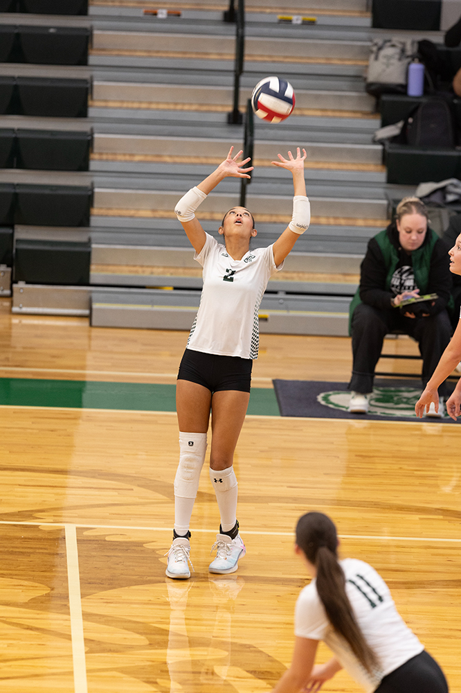 %_tempFileName1M6A0103%