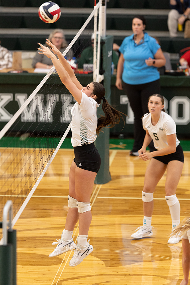 %_tempFileName1M6A0131%