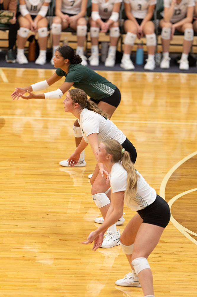 %_tempFileName1M6A0163%