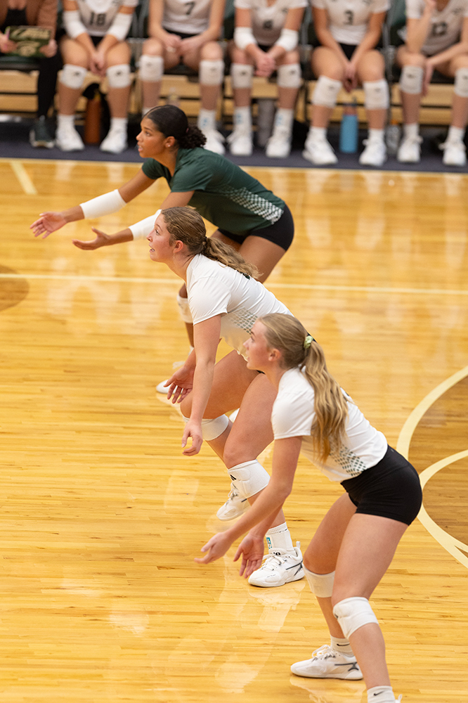 %_tempFileName1M6A0165%