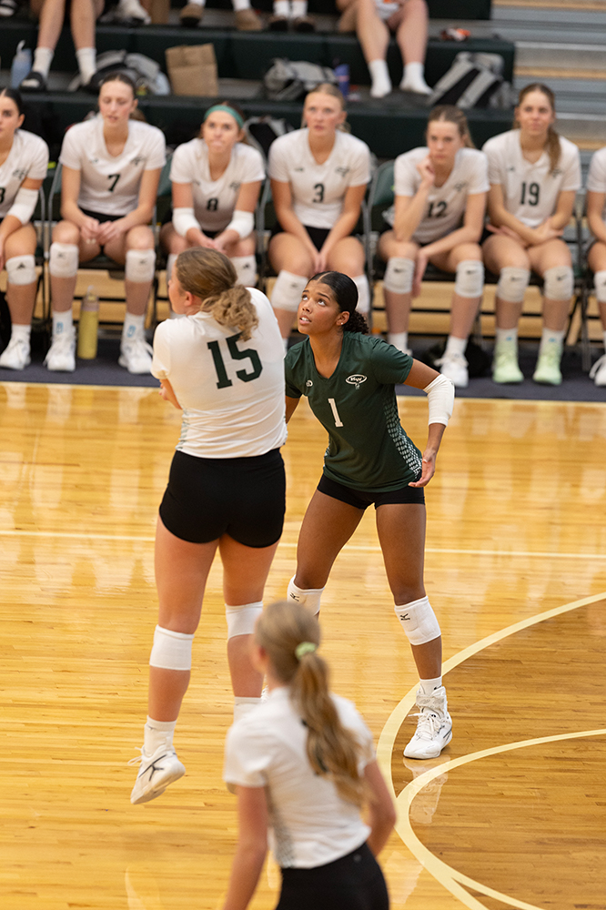 %_tempFileName1M6A0170%