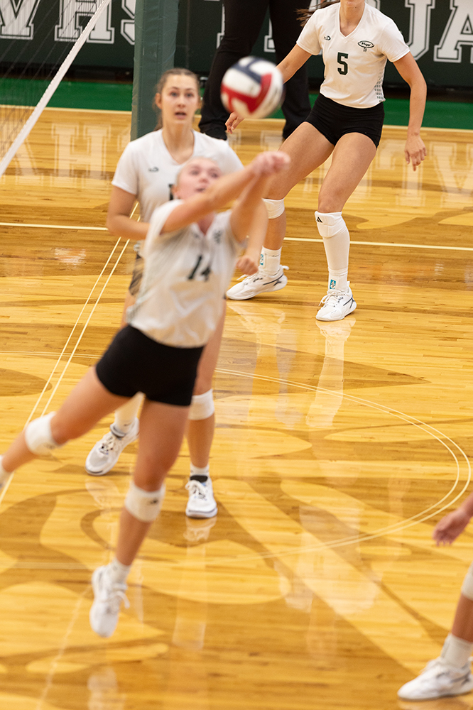 %_tempFileName1M6A0195%