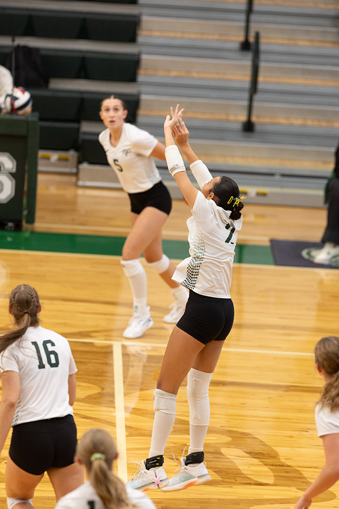 %_tempFileName1M6A0202%