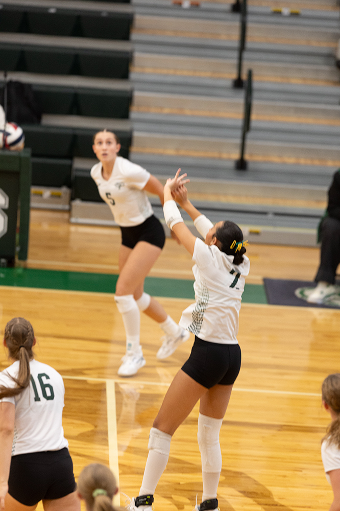 %_tempFileName1M6A0203%