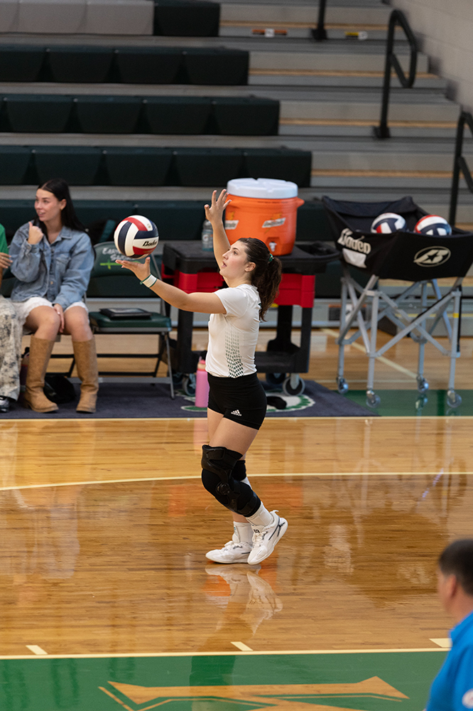 %_tempFileName1M6A0233%