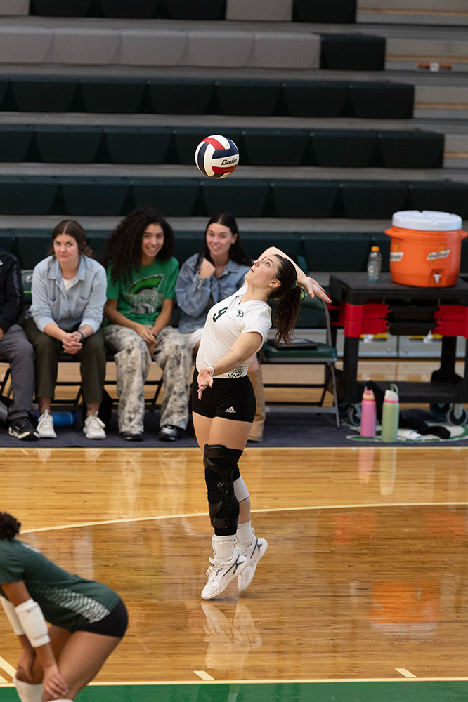 %_tempFileName1M6A0240%