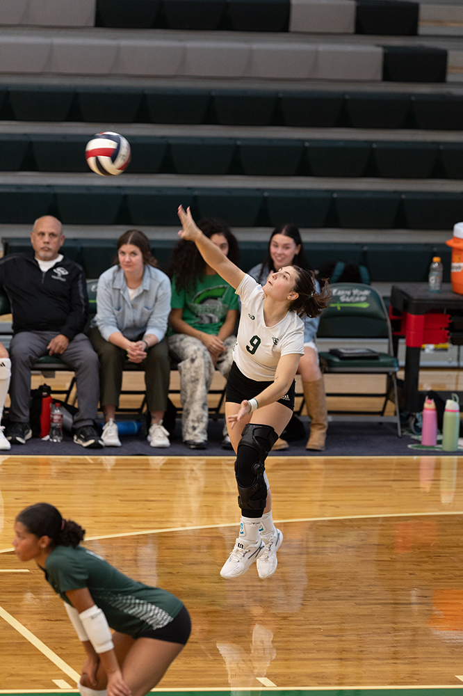 %_tempFileName1M6A0242%