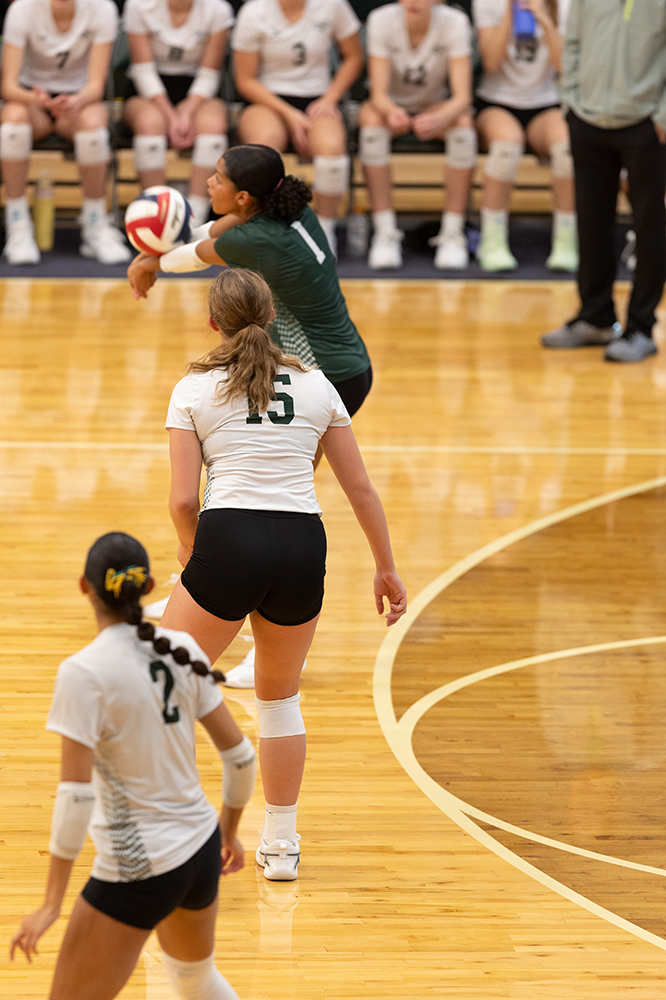 %_tempFileName1M6A0289%