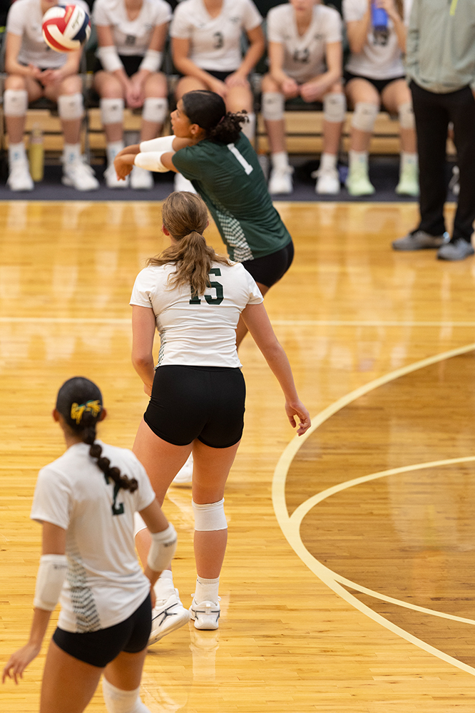 %_tempFileName1M6A0290%