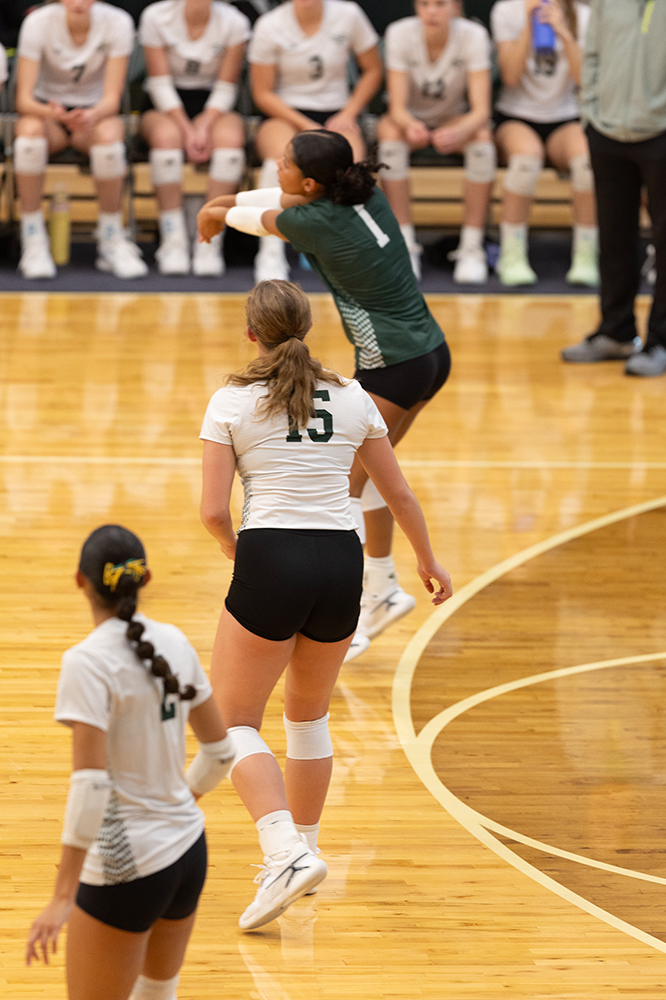 %_tempFileName1M6A0291%